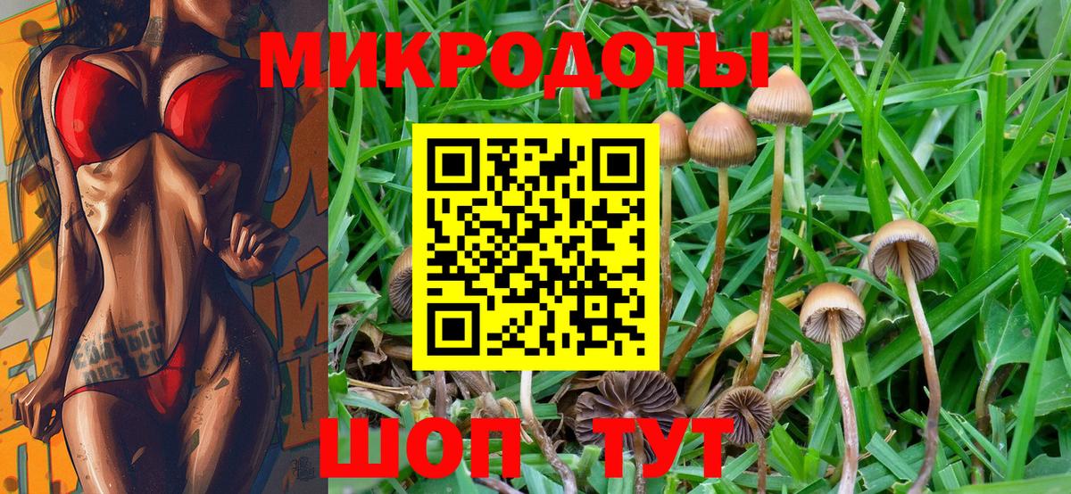 Псилоцибиновые грибы ЛСД Ярцево