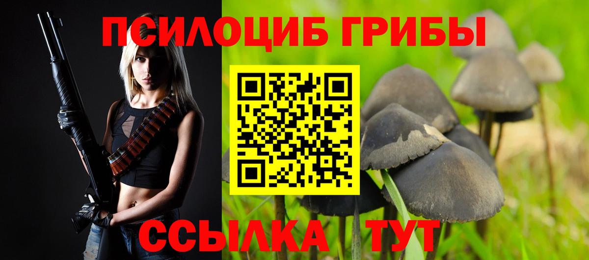 Псилоцибиновые грибы ЛСД  Псилоцибиновые грибы GOLDEN TEACHER  Ярцево  Вход с VPN 